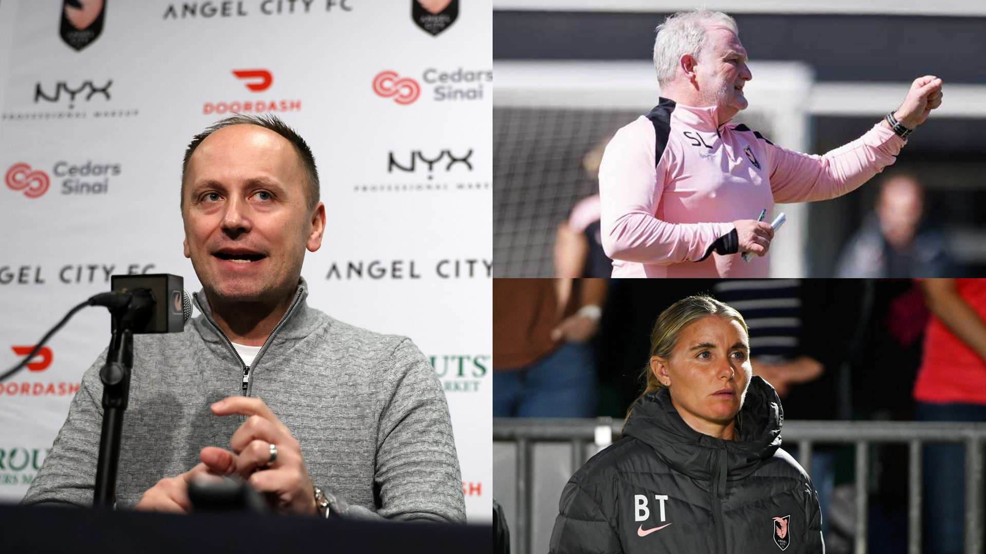 各大媒体纷 各大媒体纷