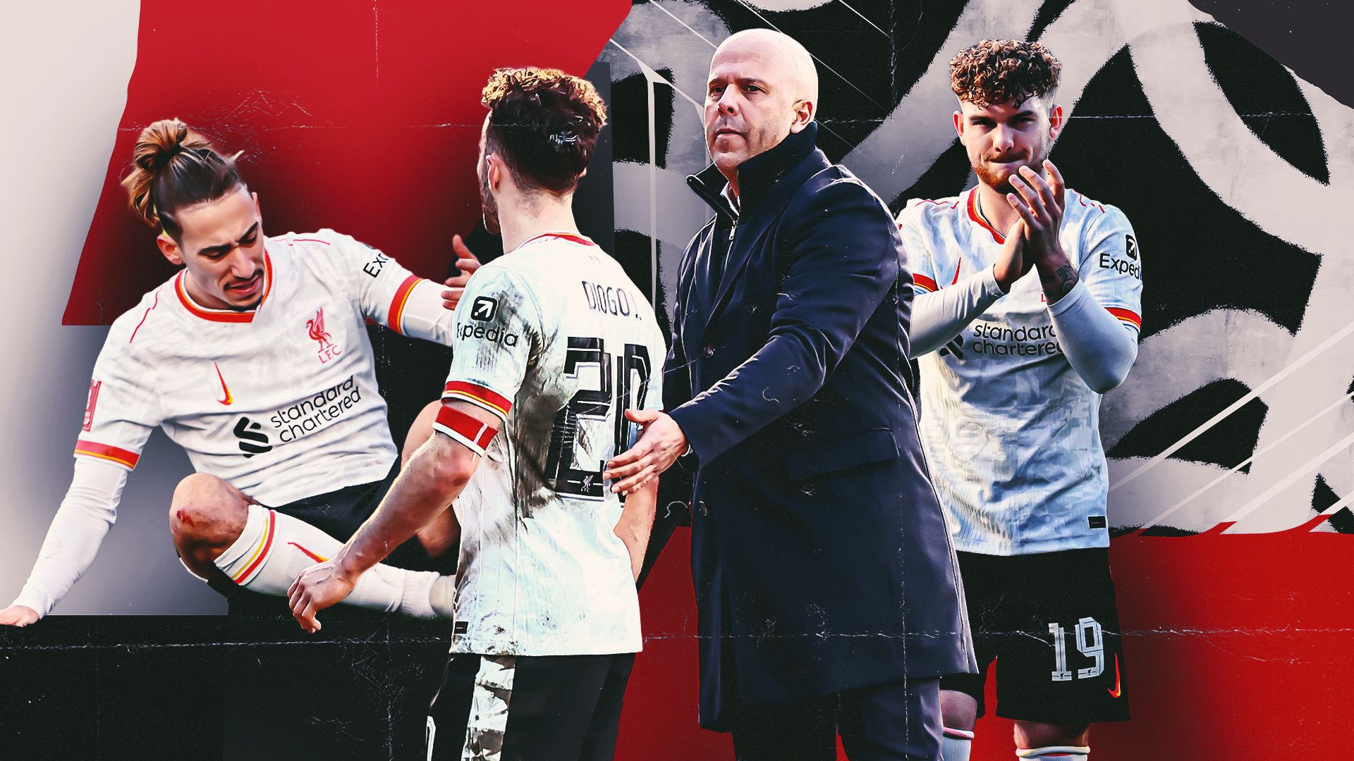 了更为广泛 了更为广泛