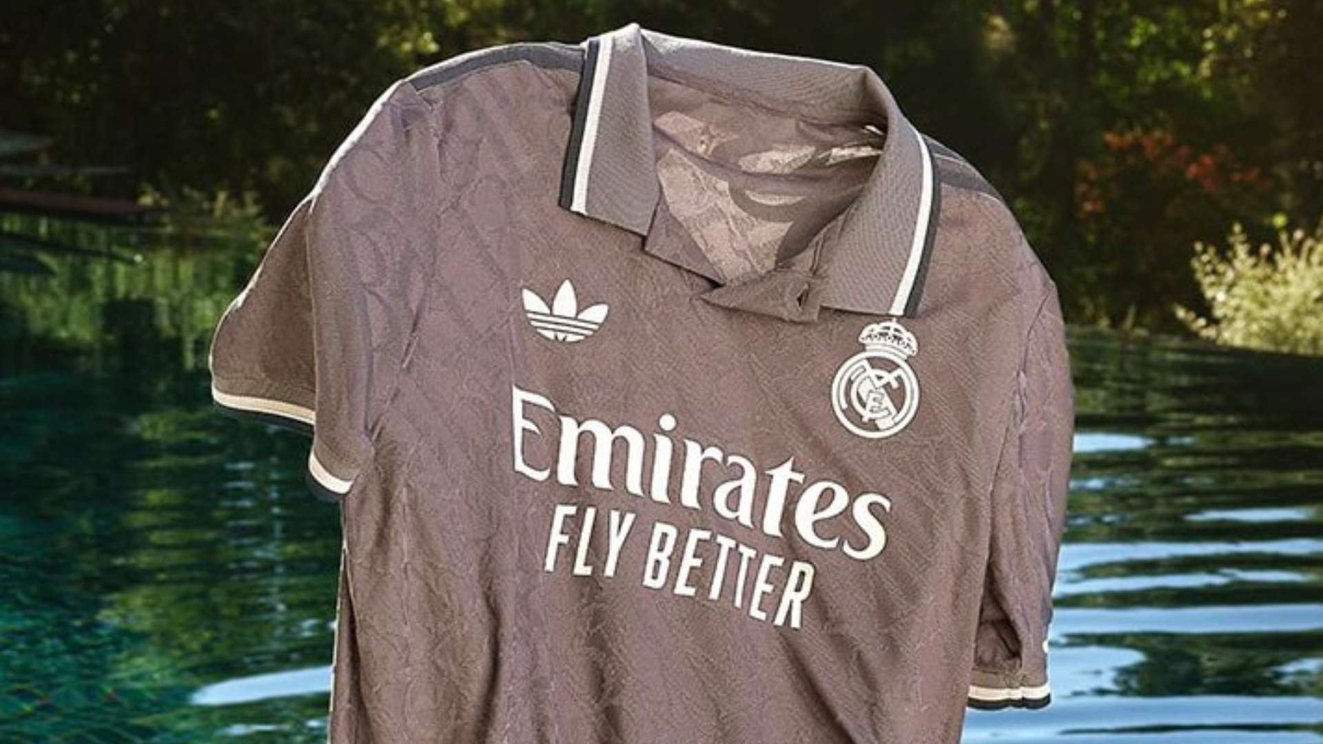 引发球迷的 引发球迷的